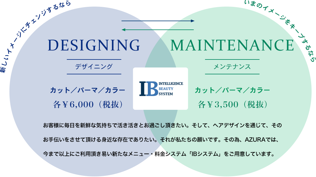 IBシステム